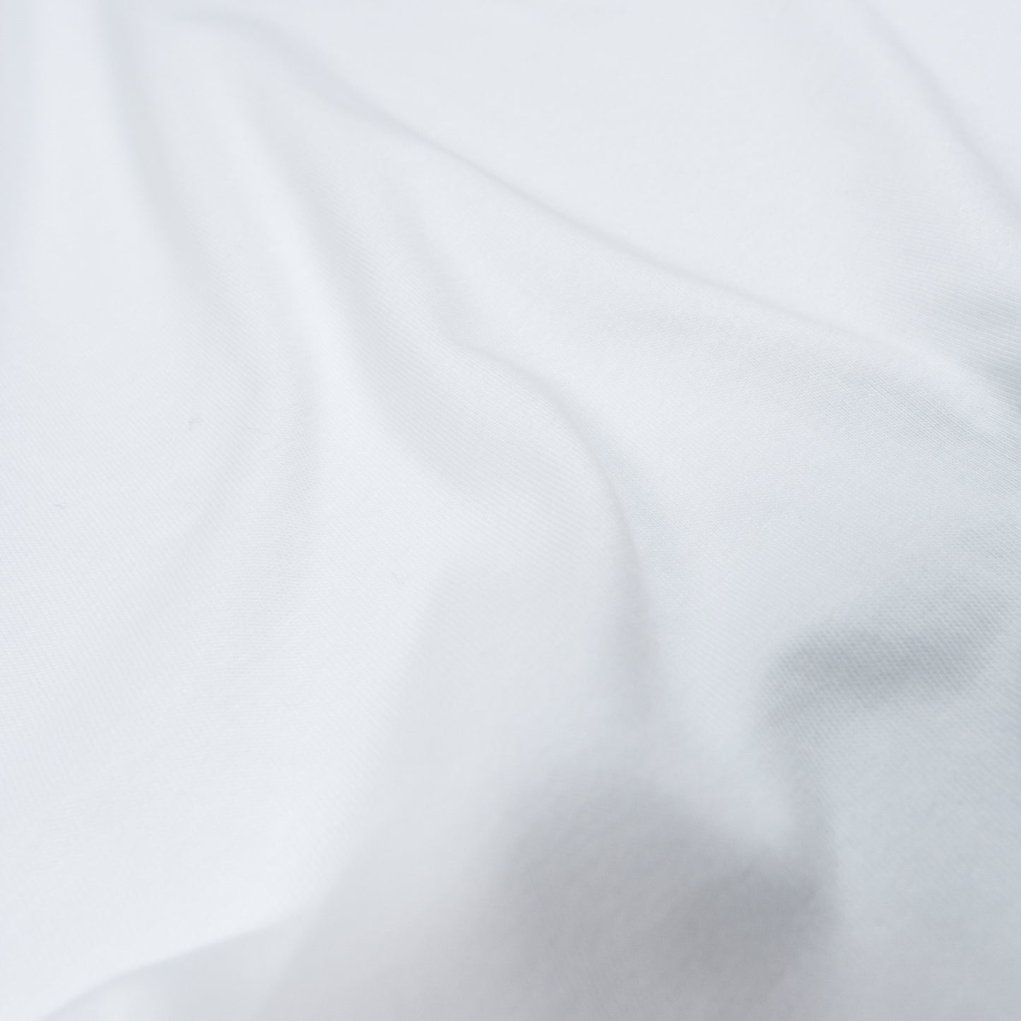 BULL Tシャツ：ワイド / 白